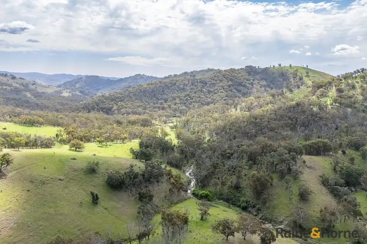 Fifth view of Homely rural property listing, Lot 3/2553 Campfire Road, Walcha NSW 2354
