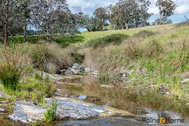 Sixth view of Homely rural property listing, Lot 3/2553 Campfire Road, Walcha NSW 2354
