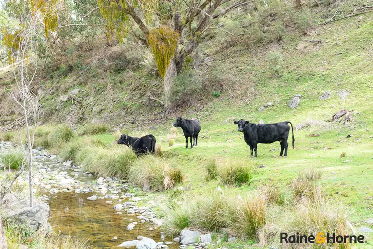 Fifth view of Homely rural property listing, Lot 2/2553 Campfire Road, Walcha NSW 2354