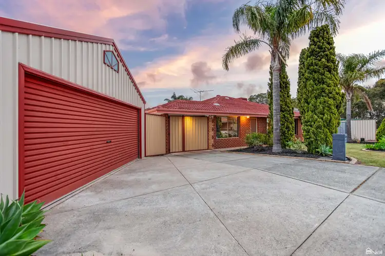 Third view of Homely house listing, 14 Skua Grove, Seville Grove WA 6112