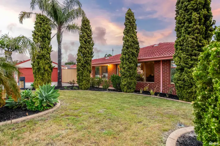Fourth view of Homely house listing, 14 Skua Grove, Seville Grove WA 6112