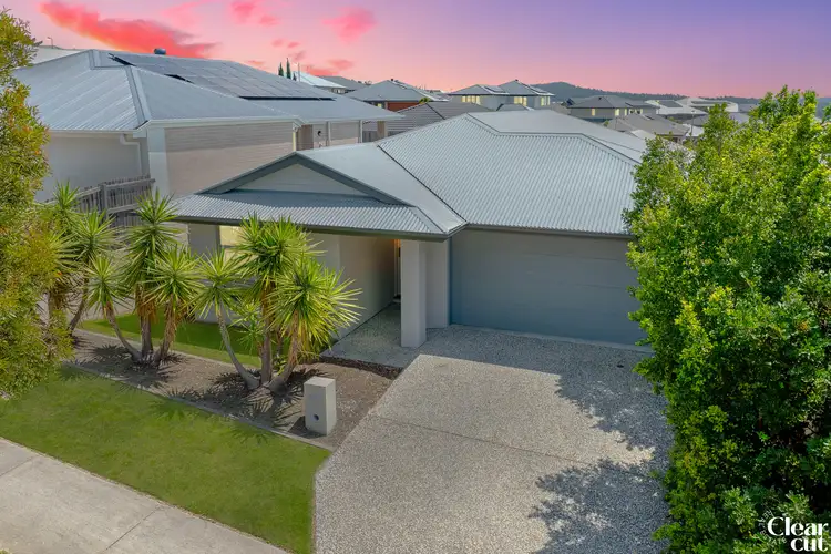 13 Naren Street, Spring Mountain QLD 4300
