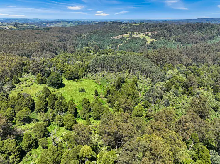 Main view of Homely rural property listing, Lot 1 & 2/355 Allambee-Childers Road, Yarragon VIC 3823