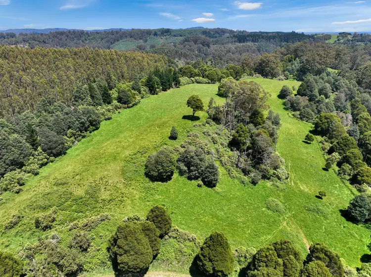 Second view of Homely rural property listing, Lot 1 & 2/355 Allambee-Childers Road, Yarragon VIC 3823