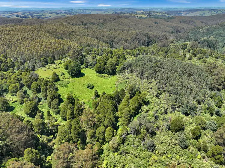 Fourth view of Homely rural property listing, Lot 1 & 2/355 Allambee-Childers Road, Yarragon VIC 3823