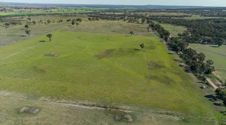 Second view of Homely rural property listing, "Bullarook" 188 Bullarook Road, Coolah NSW 2843