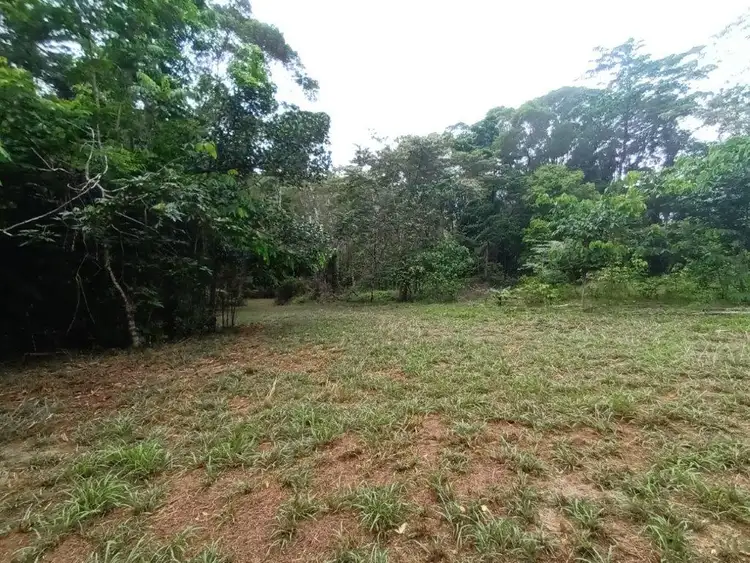 Seventh view of Homely land listing, Lot 45 Ronald Road, Forest Creek, Daintree QLD 4873