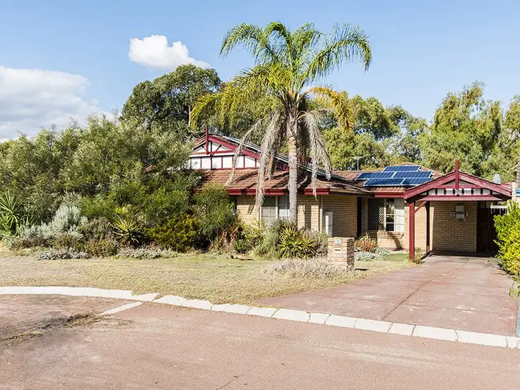 Main view of Homely house listing, 16 Sander Court, Bentley WA 6102