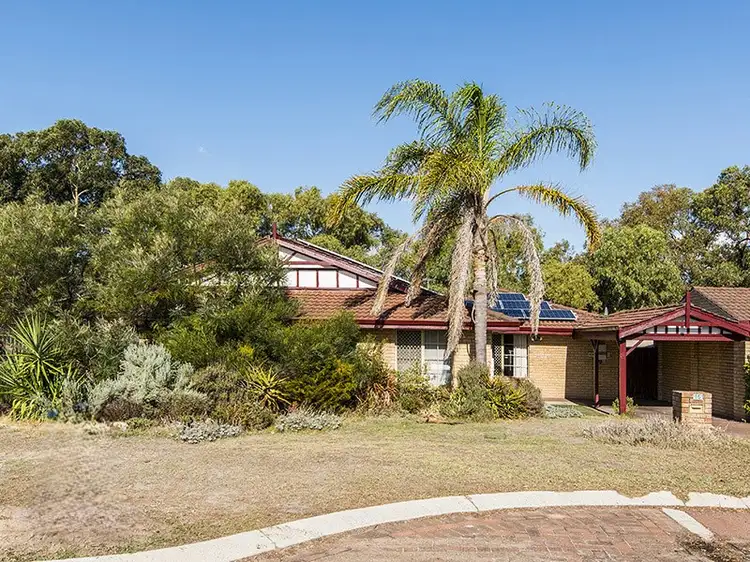 Second view of Homely house listing, 16 Sander Court, Bentley WA 6102