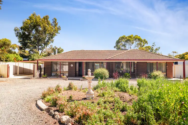 Main view of Homely house listing, 20 Schaefer Street, Freeling SA 5372