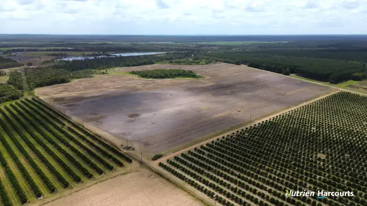 Third view of Homely rural property listing, 160 Logging Creek Road, North Isis QLD 4660