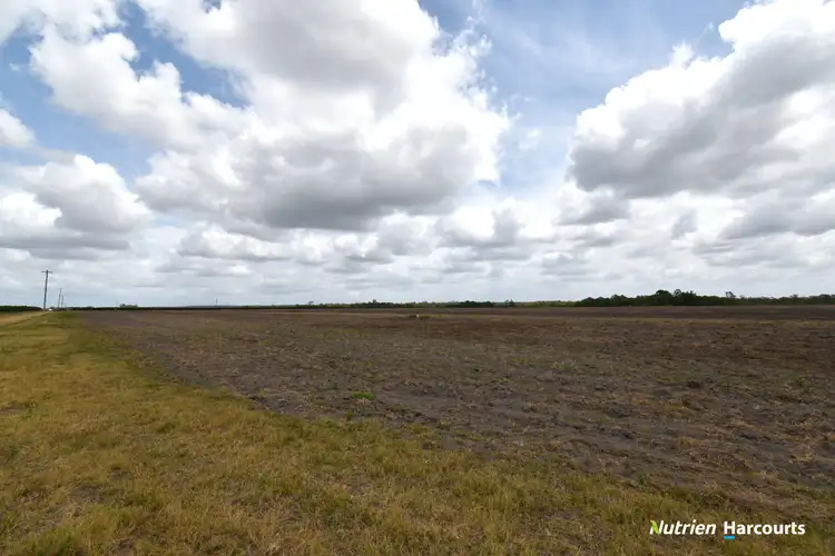 Sixth view of Homely rural property listing, 160 Logging Creek Road, North Isis QLD 4660