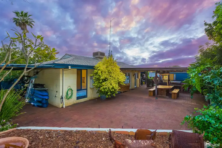 Main view of Homely house listing, 20 Westminster Court, Armadale WA 6112