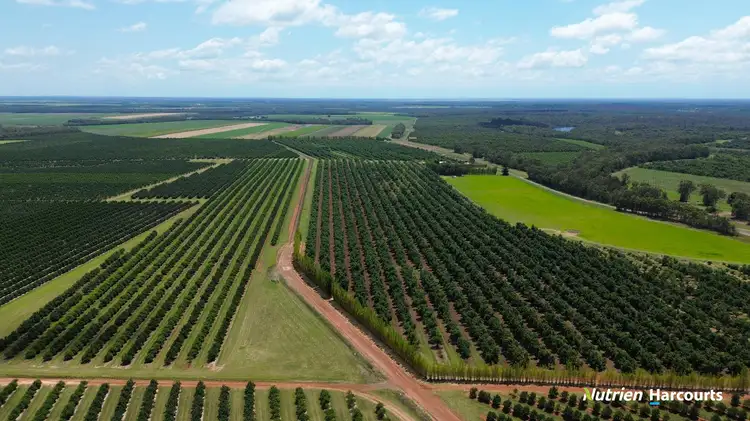 Second view of Homely rural property listing, 131 Coach Road, Redridge QLD 4660