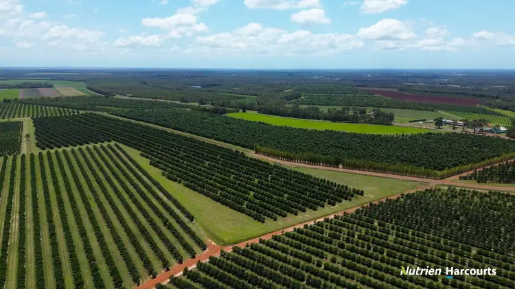 Third view of Homely rural property listing, 131 Coach Road, Redridge QLD 4660
