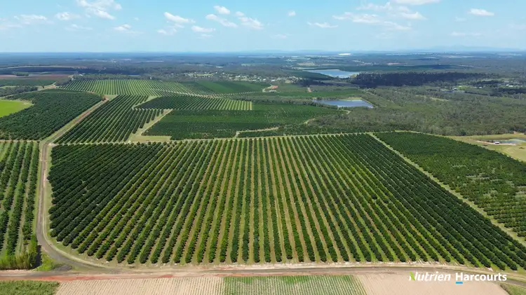Fourth view of Homely rural property listing, 131 Coach Road, Redridge QLD 4660