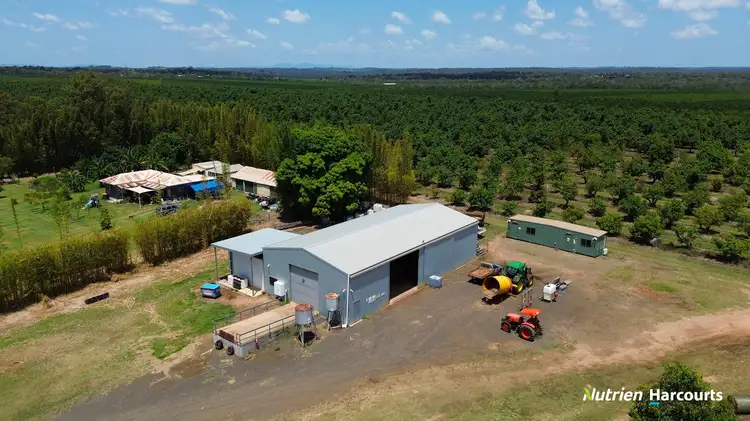 Fifth view of Homely rural property listing, 131 Coach Road, Redridge QLD 4660
