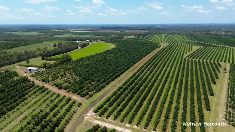 Seventh view of Homely rural property listing, 131 Coach Road, Redridge QLD 4660