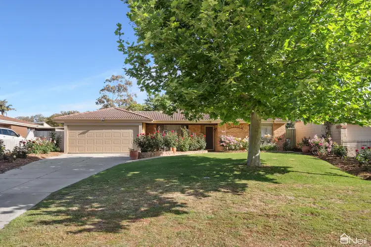 Main view of Homely house listing, 13 Armitage Road, Kelmscott WA 6111