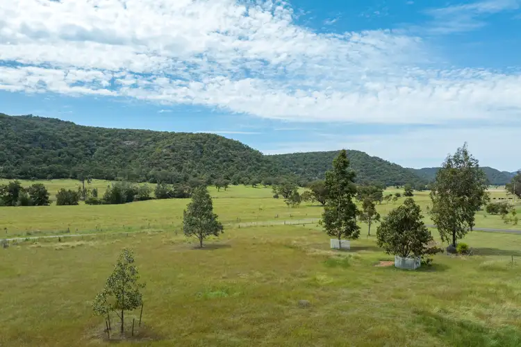 Third view of Homely rural property listing, 713 Giants Creek Road, Giants Creek NSW 2328