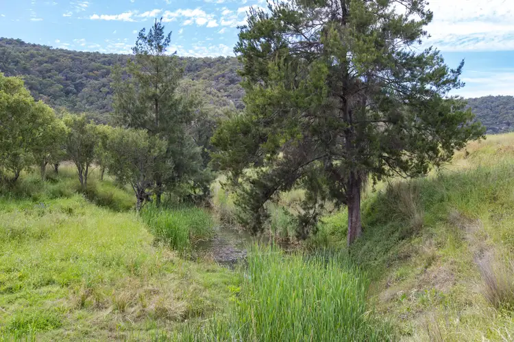 Fourth view of Homely rural property listing, 713 Giants Creek Road, Giants Creek NSW 2328