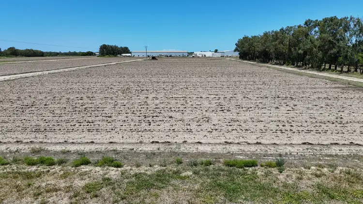 Fourth view of Homely rural property listing, 134 Wolfenden Road, Calavos QLD 4670