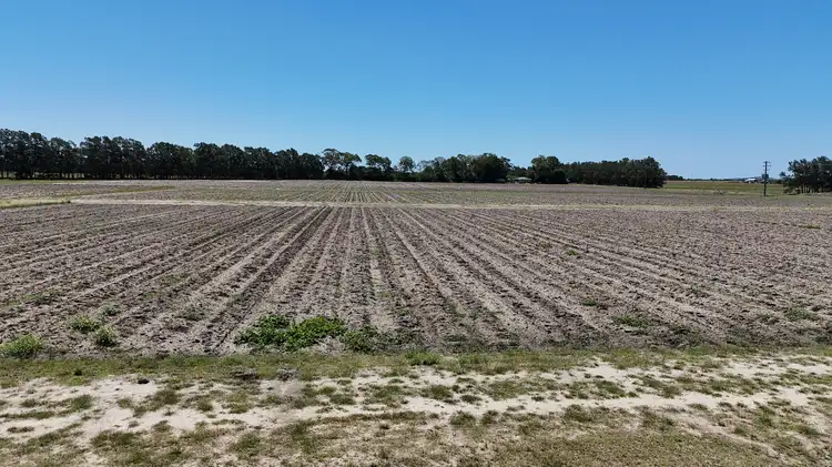 Fifth view of Homely rural property listing, 134 Wolfenden Road, Calavos QLD 4670