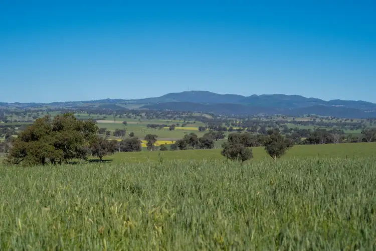 Main view of Homely rural property listing, 191 Robards Lane, Manildra NSW 2865