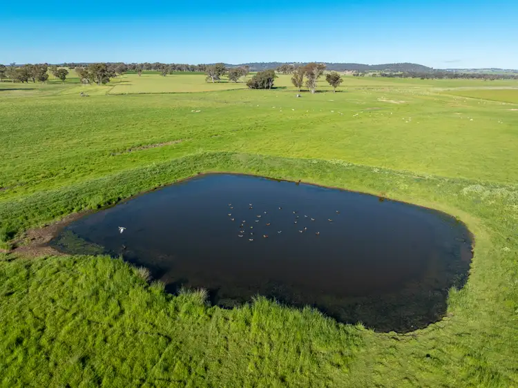 Third view of Homely rural property listing, 191 Robards Lane, Manildra NSW 2865