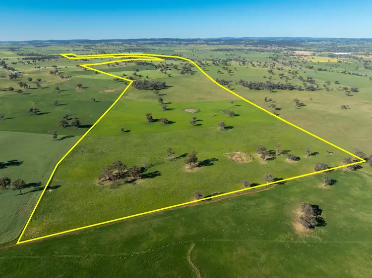 Fifth view of Homely rural property listing, 191 Robards Lane, Manildra NSW 2865