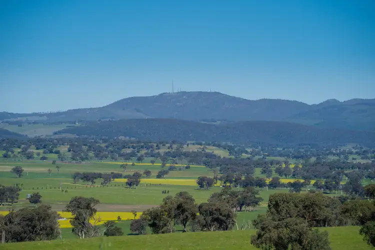 Seventh view of Homely rural property listing, 191 Robards Lane, Manildra NSW 2865