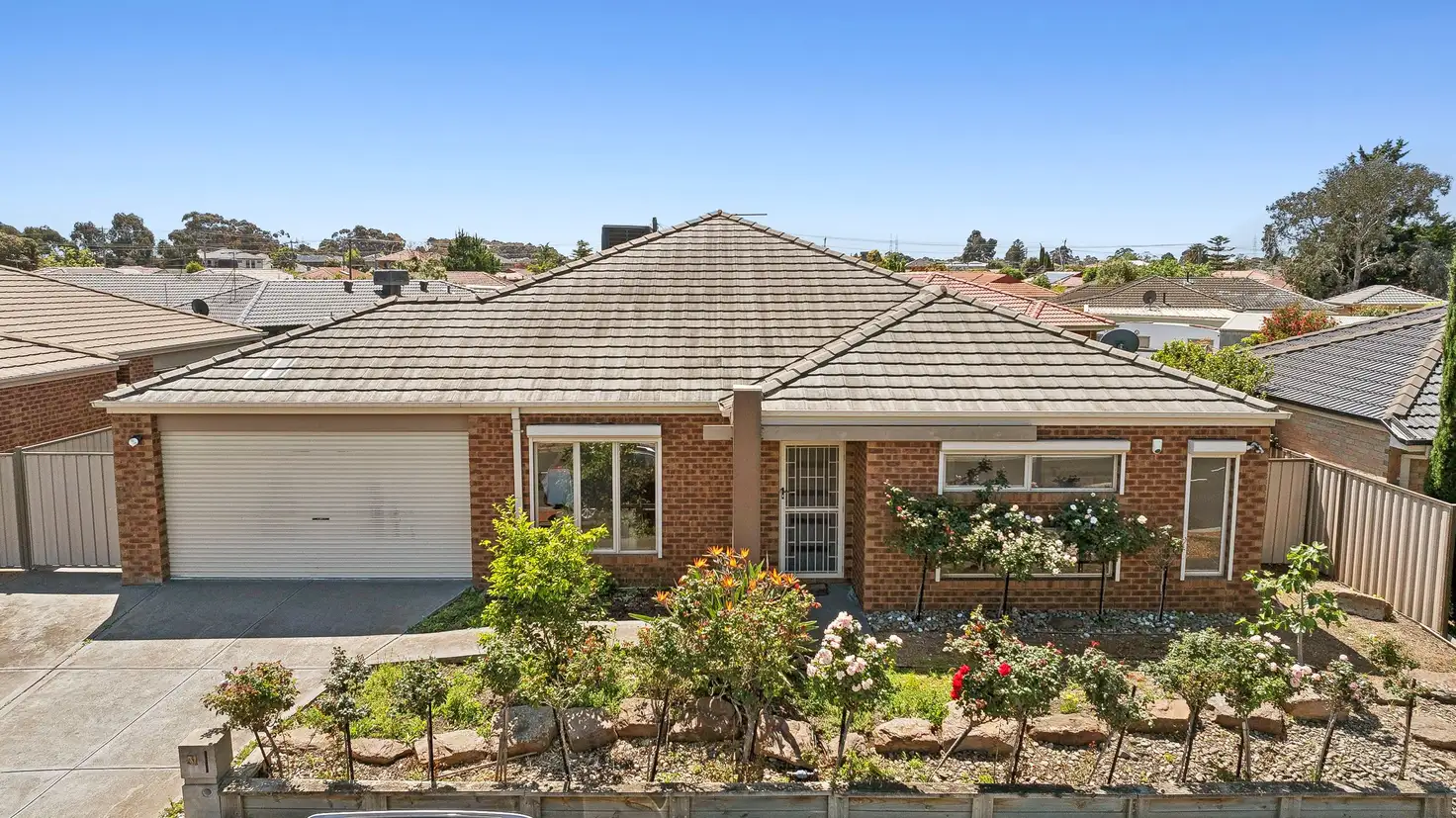 Main view of Homely house listing, 31 Pimelea Terrace, St Albans VIC 3021