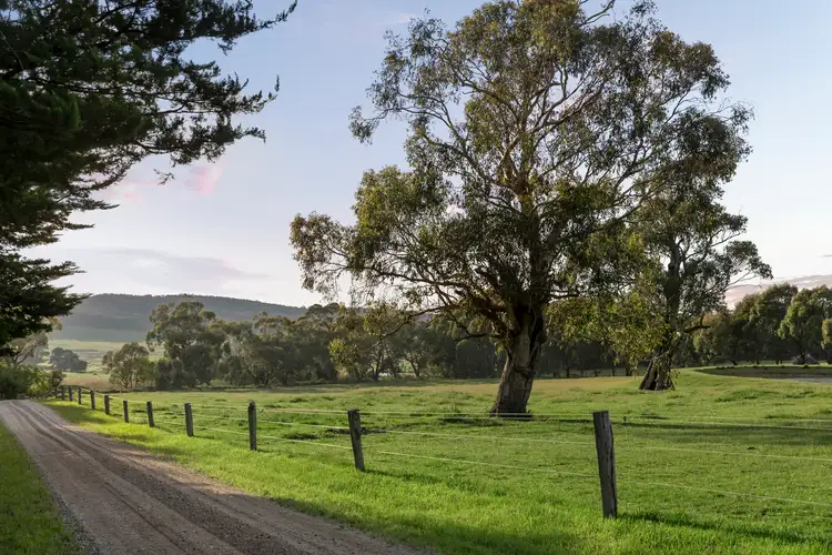 Third view of Homely house listing, 441 Mount William Road, Goldie VIC 3435