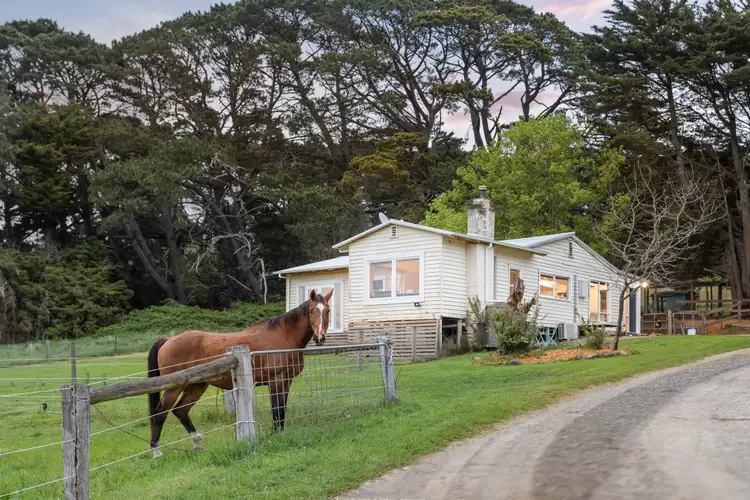 Fourth view of Homely house listing, 441 Mount William Road, Goldie VIC 3435