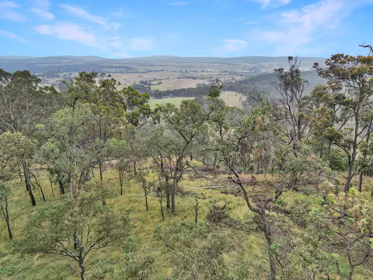 Sixth view of Homely rural property listing, 524 Plains Station Road, Tabulam NSW 2469