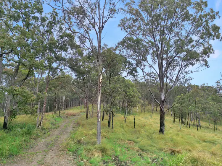 Seventh view of Homely rural property listing, 524 Plains Station Road, Tabulam NSW 2469