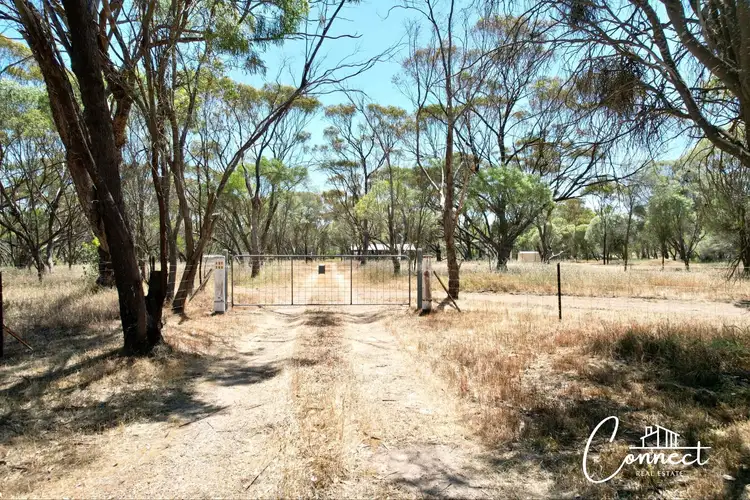Seventh view of Homely rural property listing, Lot 142 Leeder Road, Mokine WA 6401