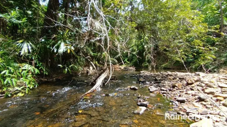 Third view of Homely rural property listing, 57 Mahogany Road, Daintree QLD 4873