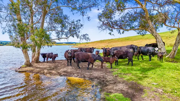 700 Cleland Gully Road, Tooperang SA 5255