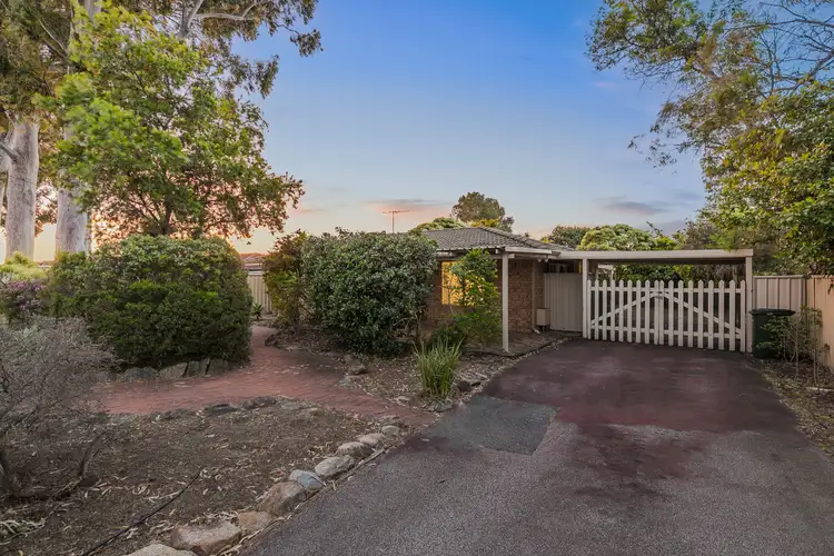 79 Williams Road, Seville Grove WA 6112