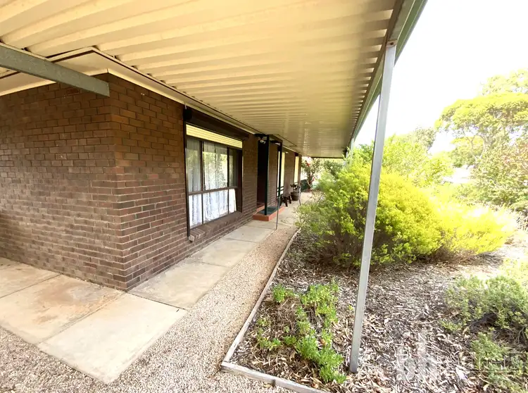 7 Spriggs Street