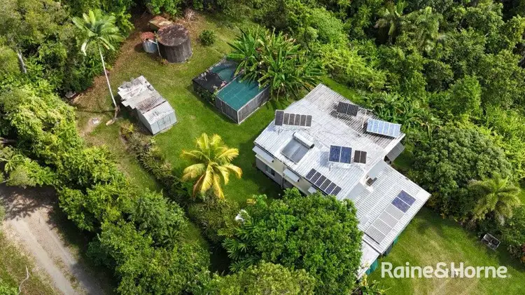 134 Ronald Road Forest Creek, Daintree QLD 4873