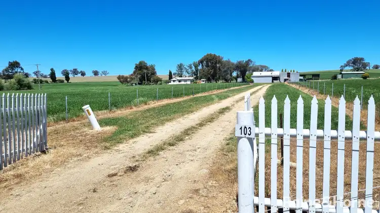 Second view of Homely rural property listing, 103 Huntleigh Road, Kingsvale NSW 2587