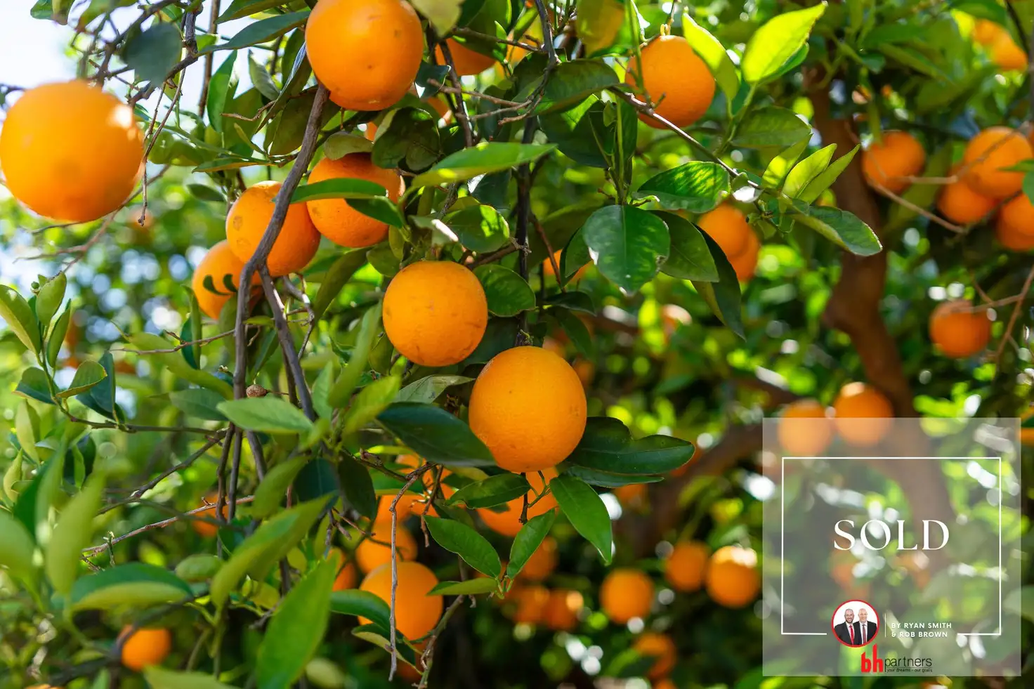 Main view of Homely rural property listing, Address available on request