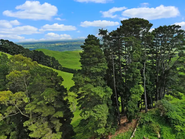 Fifth view of Homely rural property listing, Lot 1 Yarragon Leongatha Road, Yarragon VIC 3823