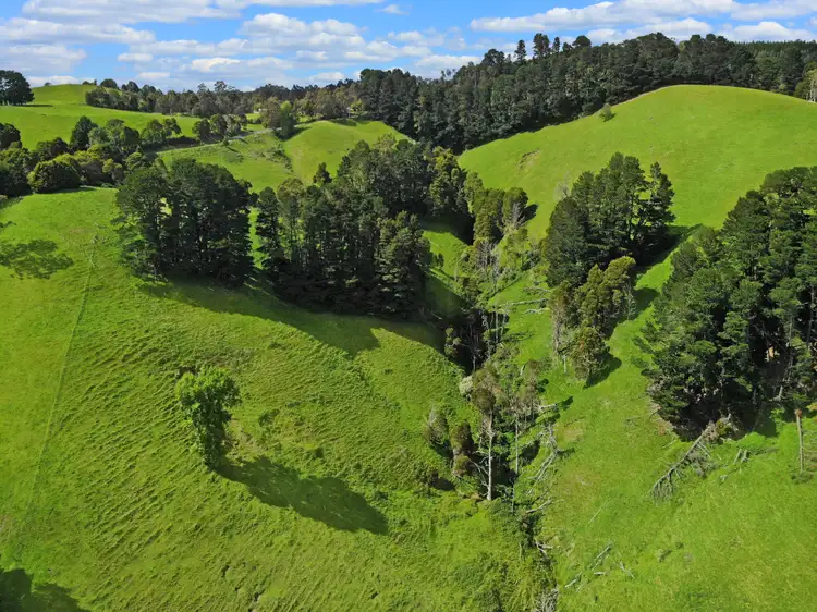 Sixth view of Homely rural property listing, Lot 1 Yarragon Leongatha Road, Yarragon VIC 3823