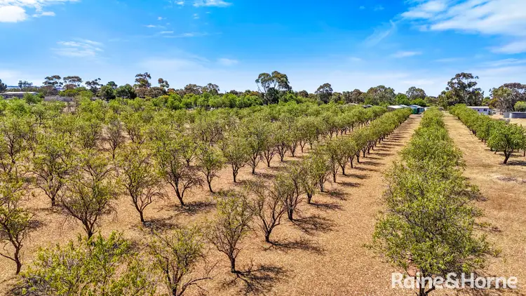 Fourth view of Homely land listing, 19 Heinjus Road, Woodchester SA 5255