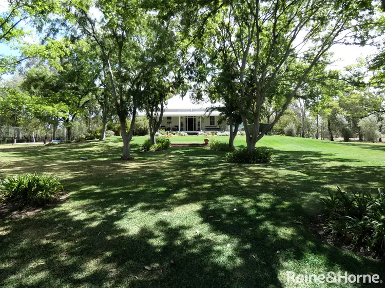 Main view of Homely rural property listing, 667 Gwydir Highway, Moree NSW 2400