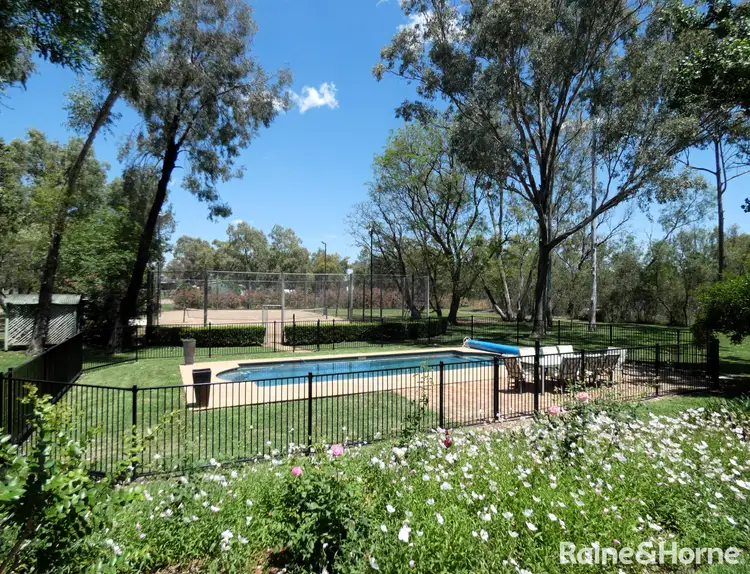 Second view of Homely rural property listing, 667 Gwydir Highway, Moree NSW 2400