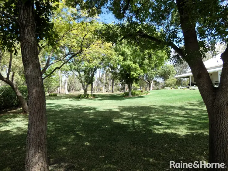Fourth view of Homely rural property listing, 667 Gwydir Highway, Moree NSW 2400